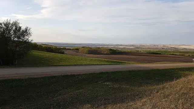 Prairie view near Maymont